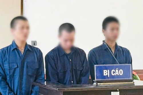 Cầm điện thoại lấy tiền mua ma túy, 3 bị cáo lĩnh hơn 24 năm tù