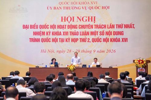 Đại biểu Quốc hội đề xuất tăng mức phạt với vi phạm an toàn thực phẩm