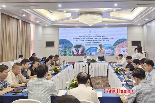 Phục hồi rừng sau khai thác: Cần cách tiếp cận dài hạn