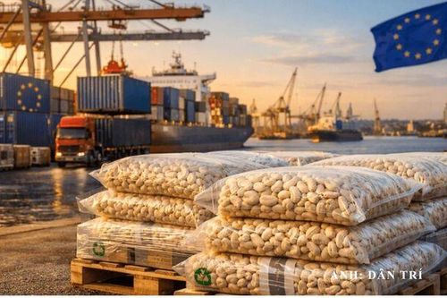 EU siết chặt quy định về tuyên bố môi trường: Những lưu ý cho doanh nghiệp Việt Nam