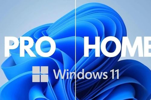 Windows 11 Home hay Windows 11 Pro: lựa chọn phiên bản nào cho phù hợp với nhu cầu của người dùng?