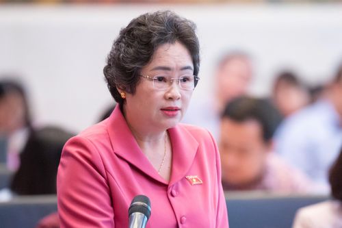ĐBQH tỉnh đề xuất hoàn thiện quy định về quản lý khu du lịch, bảo vệ di tích