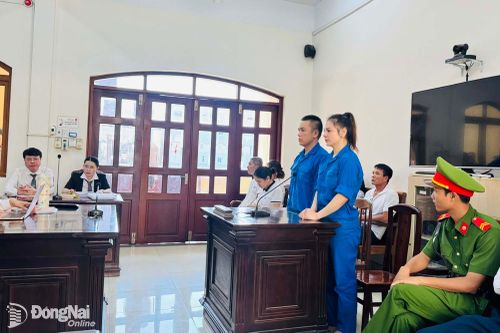 Dùng hợp đồng giả để lừa đảo, hai vợ chồng bị cáo lãnh án
