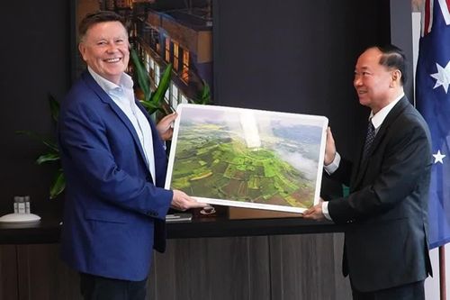 Gia Lai tìm kiếm cơ hội kết nối đầu tư với Tribeca Investment Partners