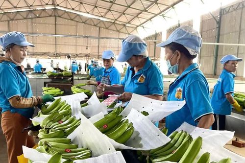 Lơ Pang mở rộng không gian phát triển từ lợi thế đất đai