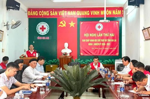 Hội Chữ thập đỏ tỉnh Gia Lai trợ giúp nhân đạo trên 116 tỷ đồng trong 9 tháng