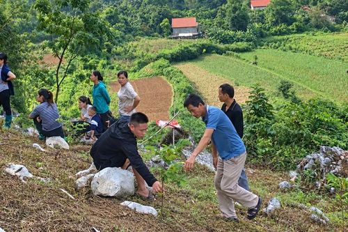 Bằng Mạc: Diện tích cây ăn quả trồng mới vượt gần 49% kế hoạch năm