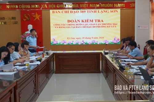 Đoàn kiểm tra số 5 Ban Chỉ đạo 389 tỉnh làm việc tại phường Kỳ Lừa