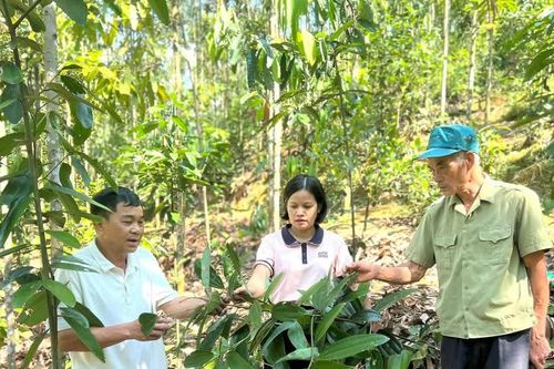 Tiếp sức cho hội viên nông dân phát triển kinh tế
