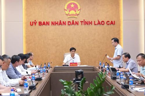 Lào Cai chuẩn bị điều kiện tham gia thị trường tín chỉ carbon rừng