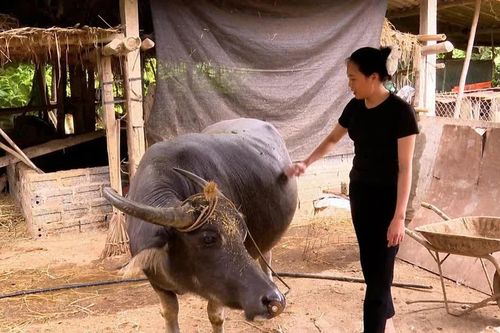 Lương Thịnh: Tạo nền tảng vững chắc để giảm nghèo bền vững