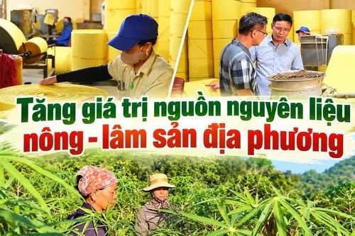 Tăng giá trị nguồn nguyên liệu nông - lâm sản địa phương