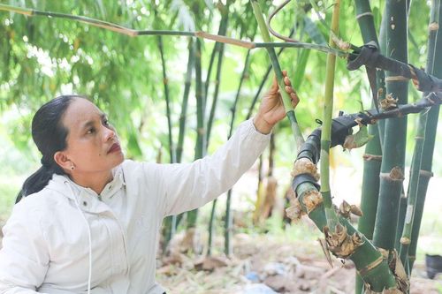 Tạo 'điểm tựa' để phụ nữ nhạy bén trên môi trường số