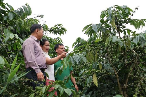 Khi nghị quyết bám sát thực tiễn