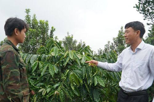 Quảng Trực chú trọng tạo nguồn, nâng cao chất lượng đảng viên