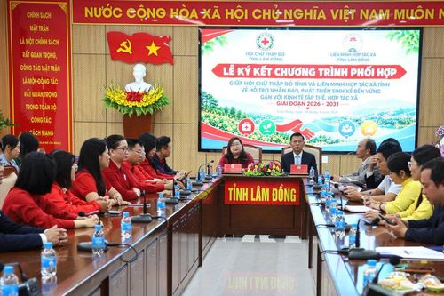 Lâm Đồng gắn hỗ trợ nhân đạo với phát triển kinh tế tập thể