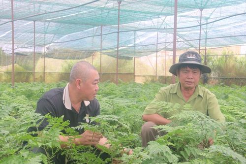Người cựu chiến binh với hành trình làm giàu trên đất mới