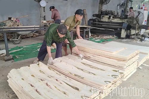 Để ngành chế biến gỗ phát triển bền vững