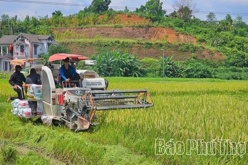 Thượng Long đẩy mạnh giảm nghèo bền vững