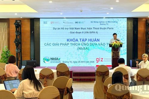 Thực hiện các giải pháp dựa vào tự nhiên để thích ứng với biến đổi khí hậu