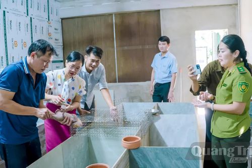 Triển khai mô hình nuôi dúi má đào thương phẩm tại xã Trường Phú