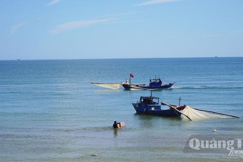 Mùa ruốc ở Bảo Ninh