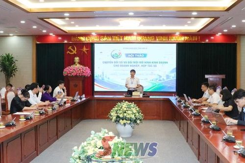 Chuyển đổi số và đổi mới mô hình kinh doanh cho doanh nghiệp, hợp tác xã