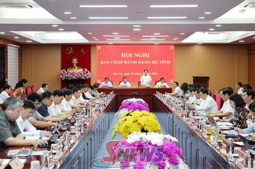 Hội nghị Ban Chấp hành Đảng bộ tỉnh