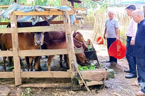 Tạo sinh kế để người dân chủ động thoát nghèo