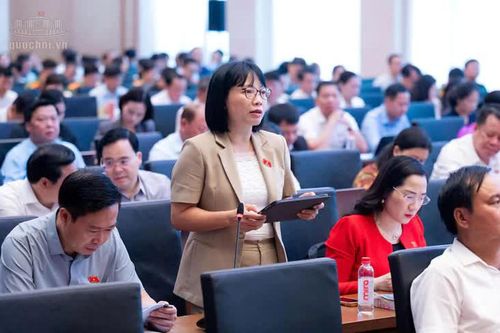 Cân nhắc việc áp dụng dừng xuất cảnh, cắt điện, nước trong xử phạt vi phạm hành chính