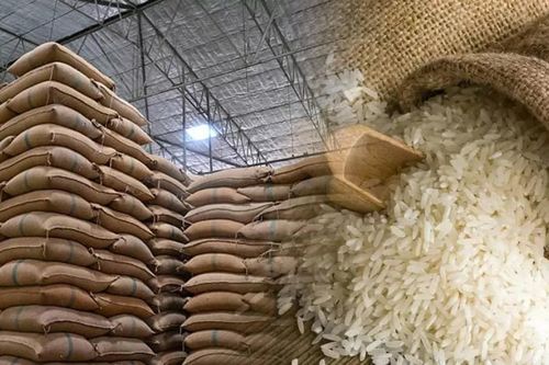 Ngày 29/9: Giá gạo nguyên liệu xuất khẩu tăng, lúa đi ngang
