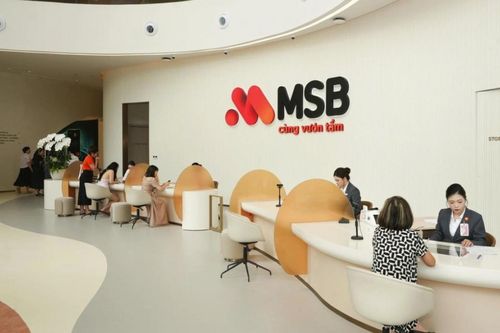 MSB dự tính chào bán cổ phiếu giá 10.000 đồng huy động nghìn tỷ, lập nhiều công ty con mở rộng hệ sinh thái