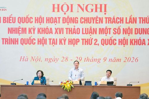 Phân biệt rõ mức trần và mức phạt cụ thể trong từng vụ việc