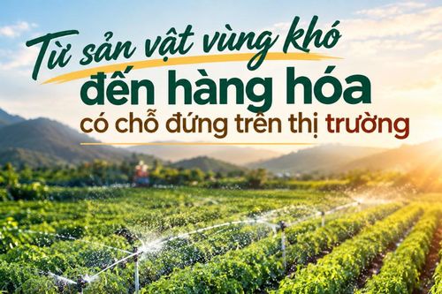 Từ sản vật vùng khó đến hàng hóa có chỗ đứng trên thị trường