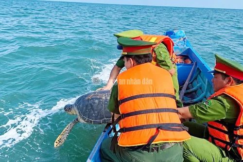Công an cơ sở ở Cà Mau chung tay bảo vệ động vật hoang dã