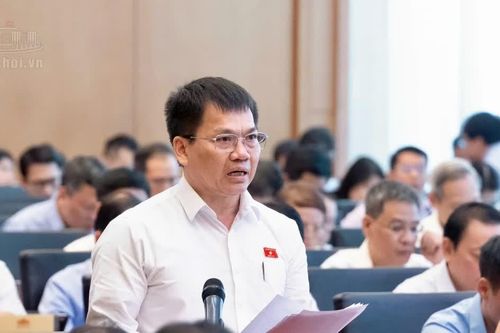 Thảo luận 7 luật trong lĩnh vực văn hóa, thể thao và du lịch