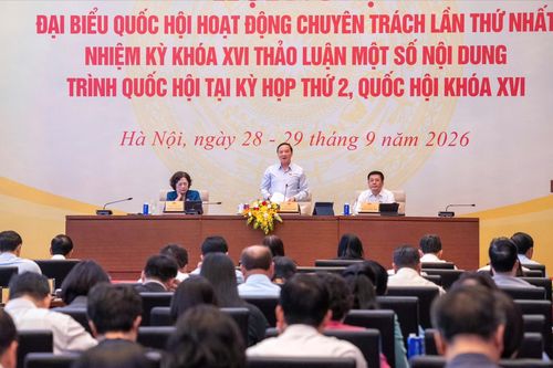 Thảo luận nhóm dự án luật thuộc lĩnh vực hành chính tư pháp và VHXH