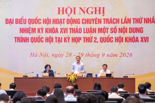 Cân nhắc khi áp dụng các biện pháp xử lý vi phạm hành chính