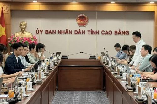 Họp Ban Chỉ đạo Dự án Hỗ trợ kinh tế tuần hoàn xanh thông qua cải thiện chuỗi giá trị nông nghiệp