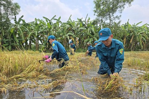 Khẩn trương hỗ trợ người dân khôi phục sản xuất