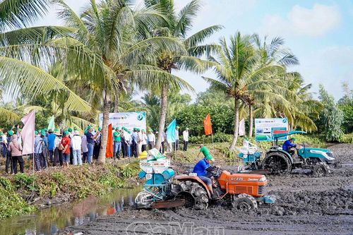 Nâng giá trị lúa thơm - tôm sạch