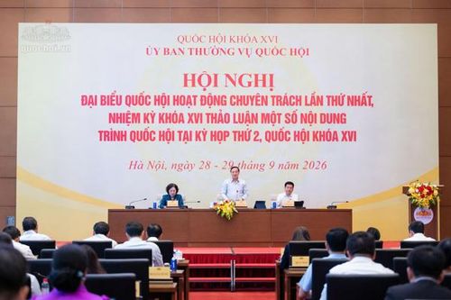 Cân nhắc kỹ việc tăng mức phạt tối đa với vi phạm hành chính