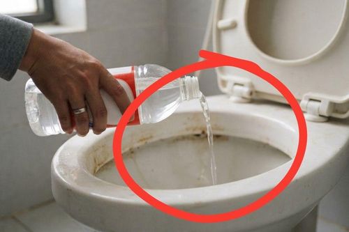 Tại sao nhiều người đổ giấm vào bồn cầu? Điều xảy ra sau 30 phút khiến bạn ngạc nhiên