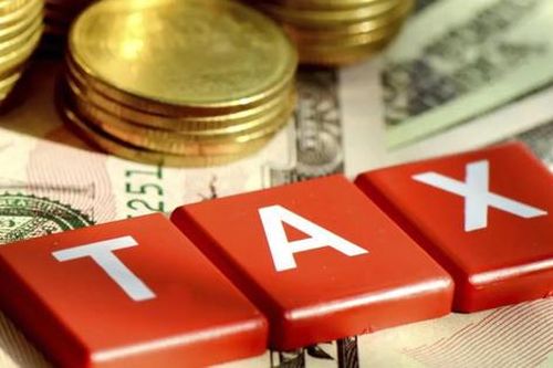 TP.HCM rà soát hơn 684.000 trường hợp người nộp thuế thuộc trạng thái 03, 06