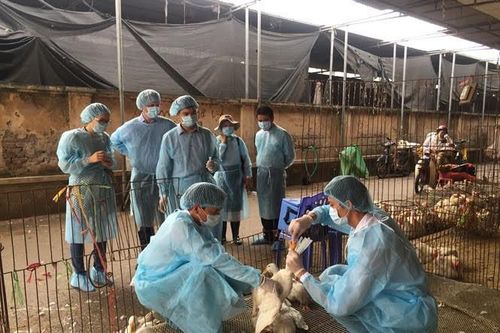 Cảnh báo sớm, kiểm soát thực phẩm từ gốc