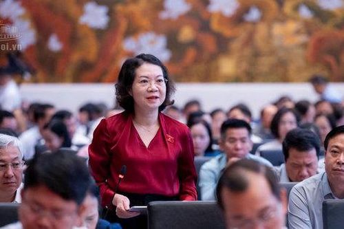 Đánh giá kỹ khi nâng mức xử phạt tối đa với vi phạm hành chính