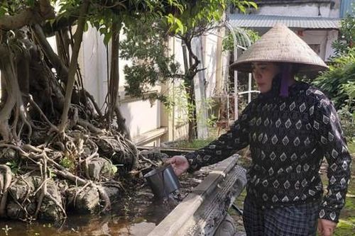 Xã Đan Phượng siết chặt phòng dịch, không để sốt xuất huyết lan rộng