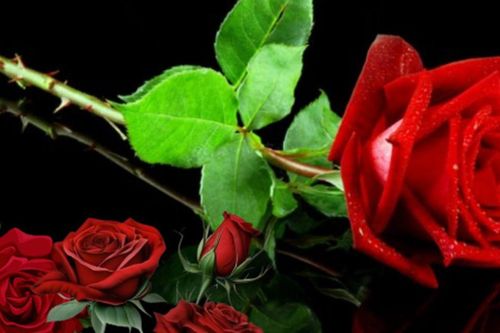 Bất ngờ những thứ đại kỵ làm quà tặng và sai lầm cần tránh khi tặng quà trong ngày lễ