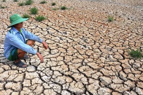 Siêu El Nino quay lại có thể khiến hàng trăm nghìn người chết?