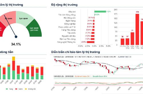 Xu hướng chứng khoán 29/9 nên theo dõi dòng dẫn dắt như dầu khí, bán lẻ